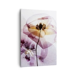 Tablou pe pânză - Corp de flori transparente - 70x100 cm