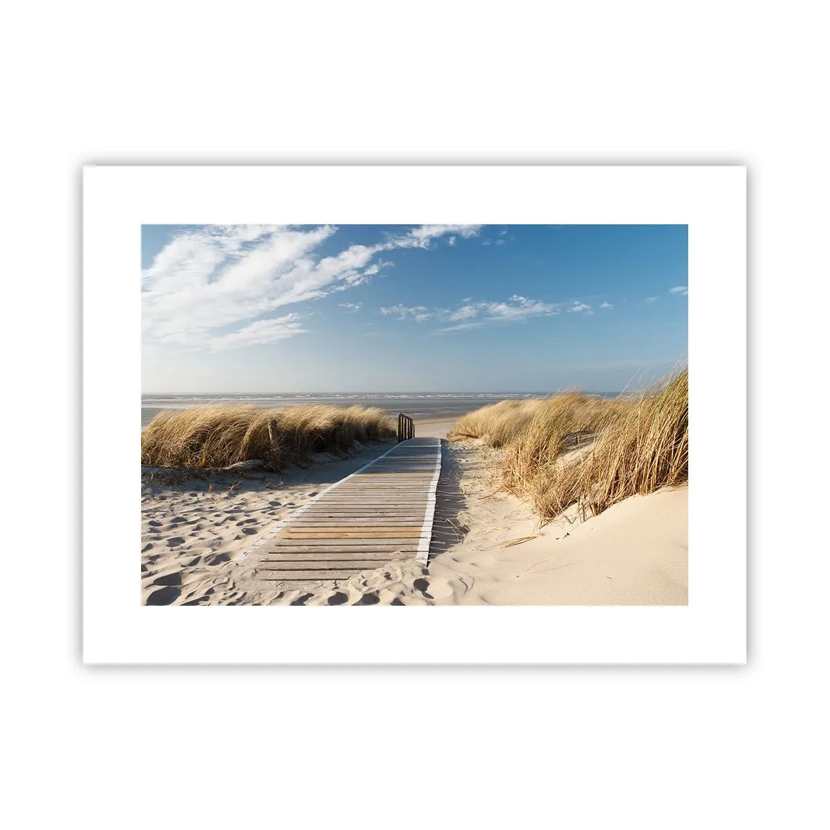 Poster - În spatele dunei, în zumzetul ierbii - 40x30 cm