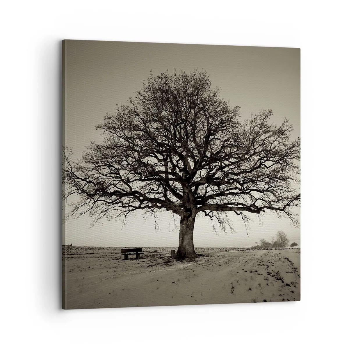 Tablou pe pânză - De aici până în veșnicie - 60x60 cm