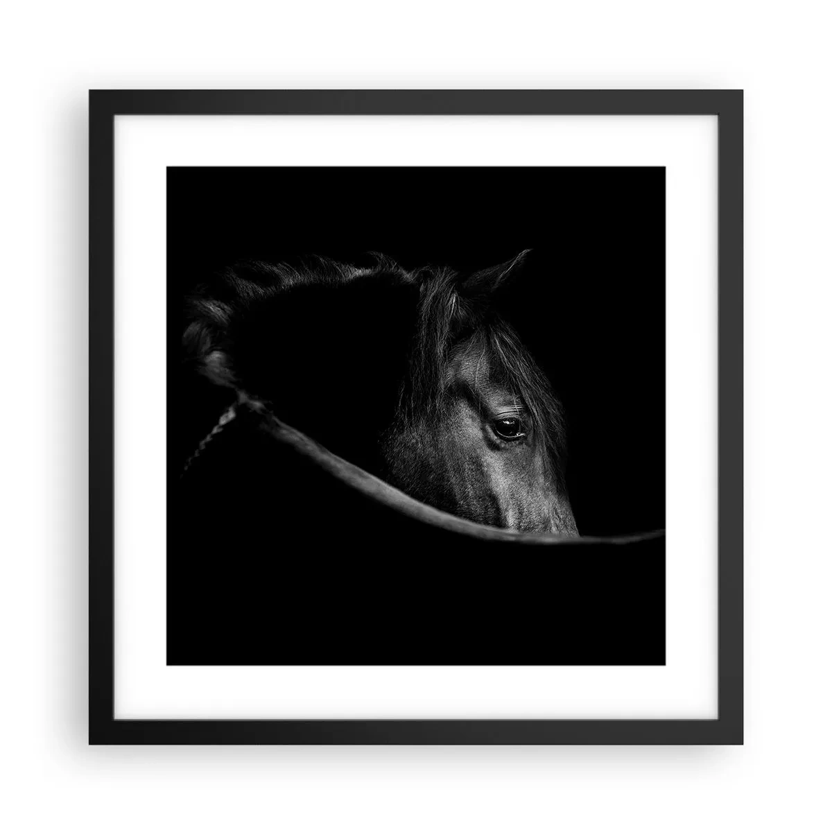 Poster în ramă neagră - Prințul negru - 40x40 cm