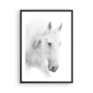 Poster în ramă neagră - Portretul unui cal alb într-un stil minimalist - 50x70cm - Este aceasta o prietenie...? - Decorațiune modernă pentru perete pentru living și dormitor ARTTOR