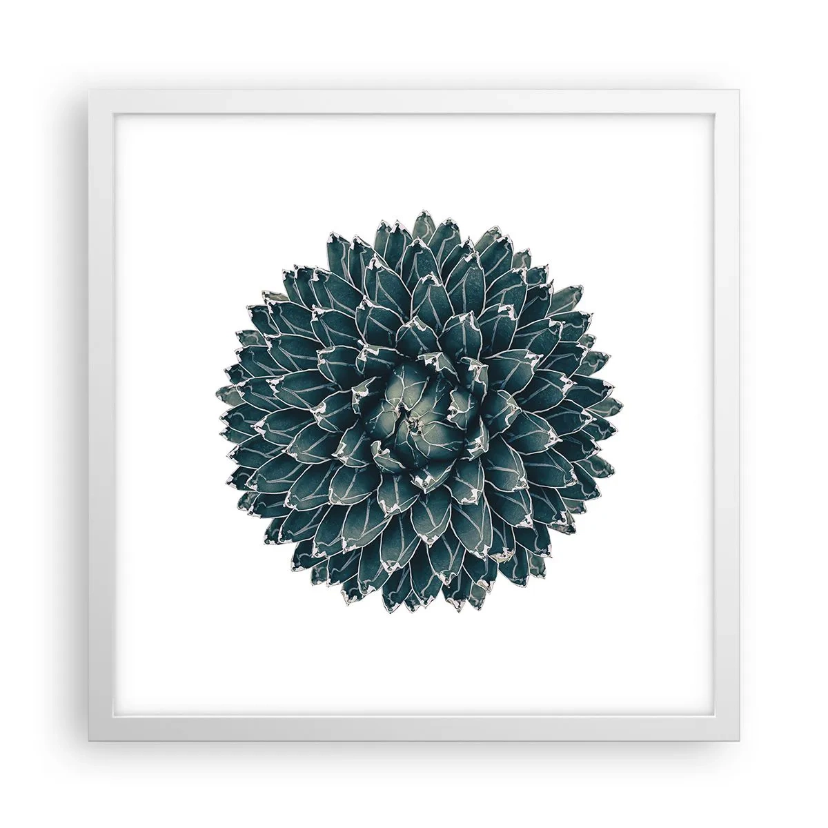 Poster în ramă albă - Steaua deșertului - 40x40 cm