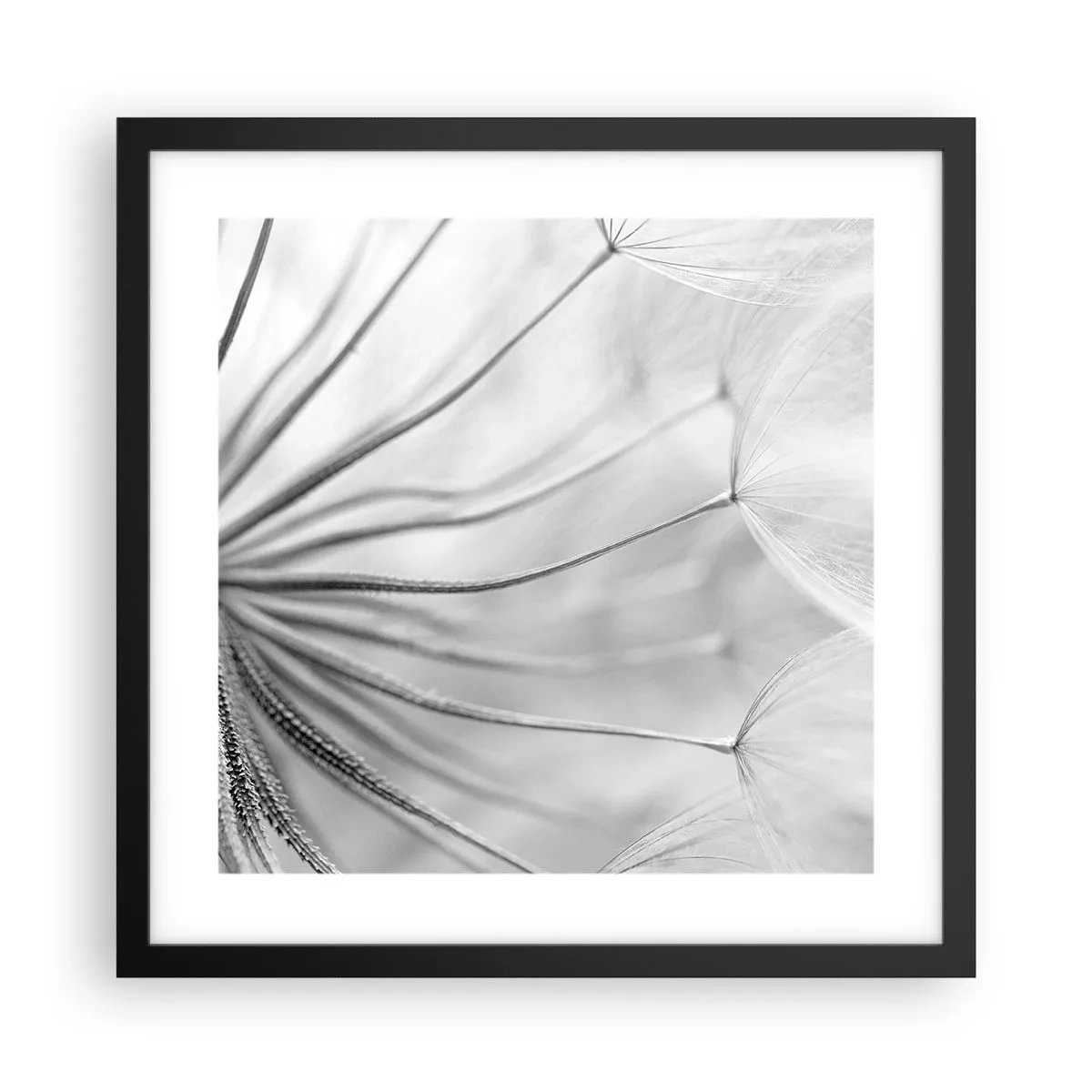 Poster în ramă neagră - Suflarea zmeilor - 40x40 cm