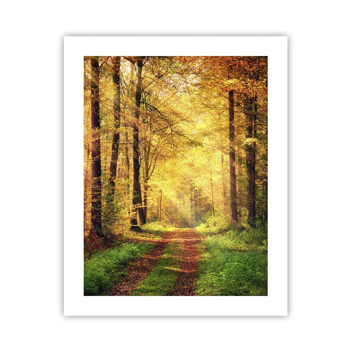 Poster - Tăcere de aur de pădure - 40x50 cm