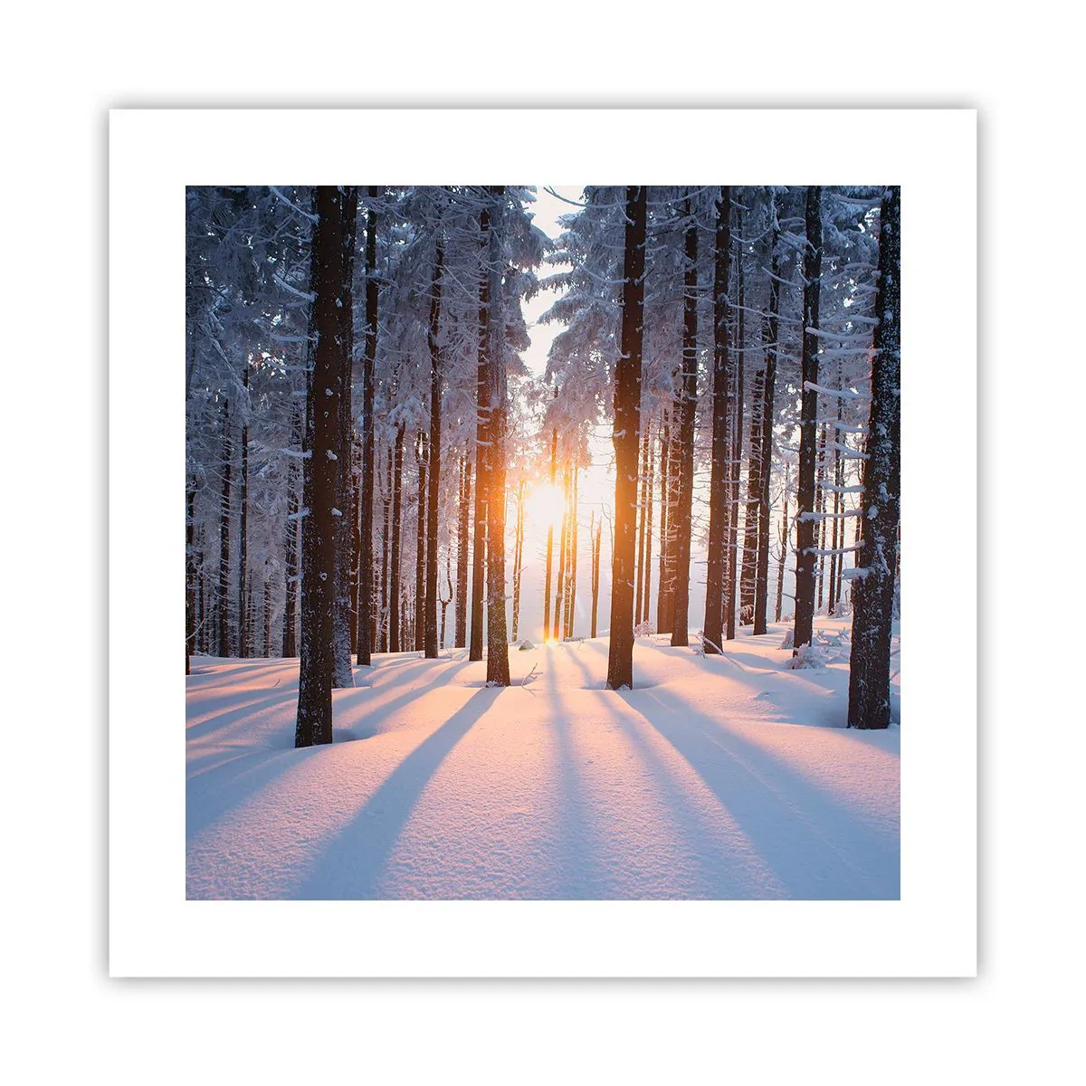 Poster - În mod clar în alb și negru - 40x40 cm