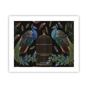 Poster - În veșmânt regal - 50x40 cm