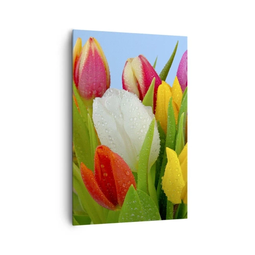 Tablou pe pânză - Un curcubeu floral în picături de rouă - 80x120 cm