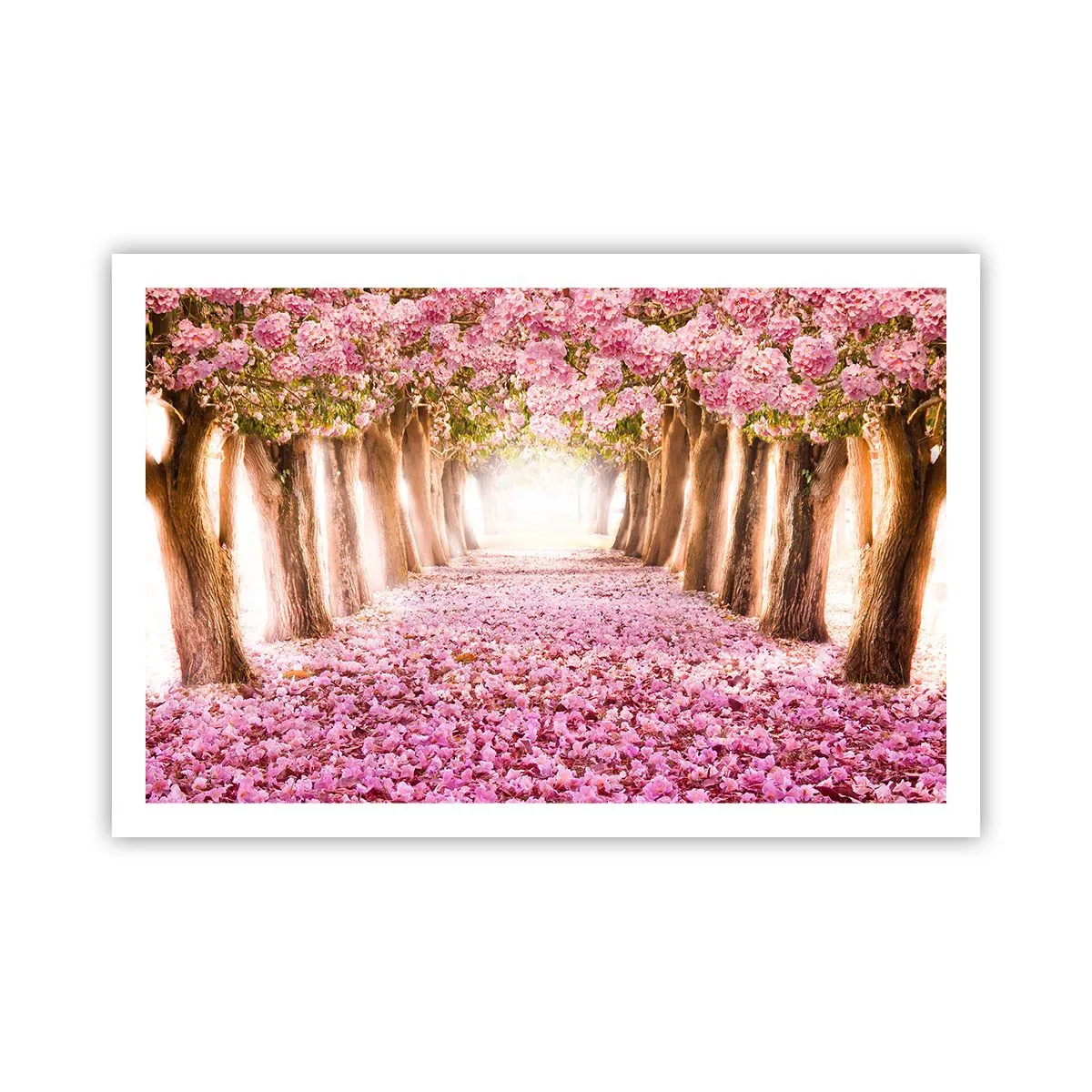 Poster - Drumul spre paradis - 91x61 cm