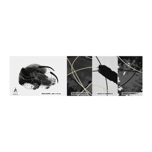 Mostră tapet Premium Sand - Provenit din negru - Abstracția, Bucată, Artă Modernă - 100x30 cm