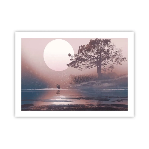 Poster - Minuni nocturne - 70x50 cm