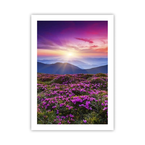 Poster - Ierburile proaspete miroseau puternic - 50x70 cm
