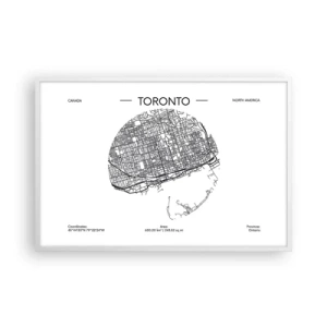 Poster în ramă albă - Anatomia Toronto - 91x61 cm
