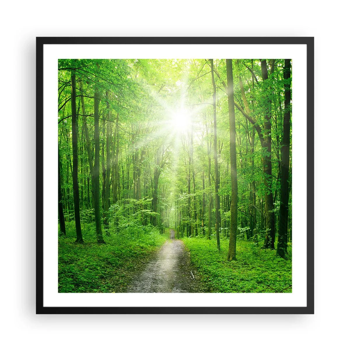 Poster în ramă neagră - Catedrala verde - 60x60 cm