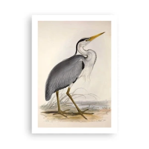 Poster - Farmecul unui stârc - 50x70 cm