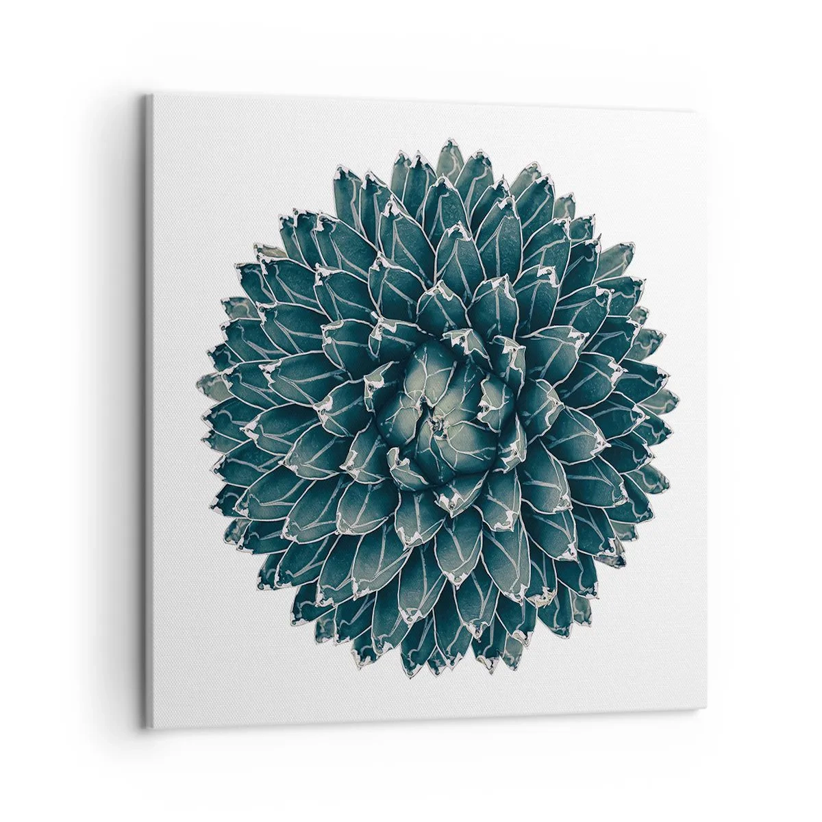 Tablou pe pânză - Steaua deșertului - 50x50 cm