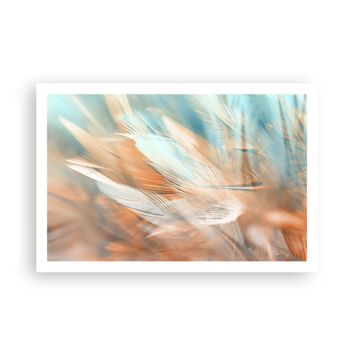 Poster - În țara blândeții - 91x61 cm