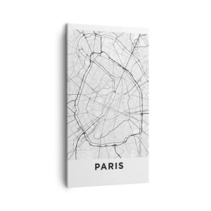 Tablou pe pânză - Floarea Parisului - 45x80 cm