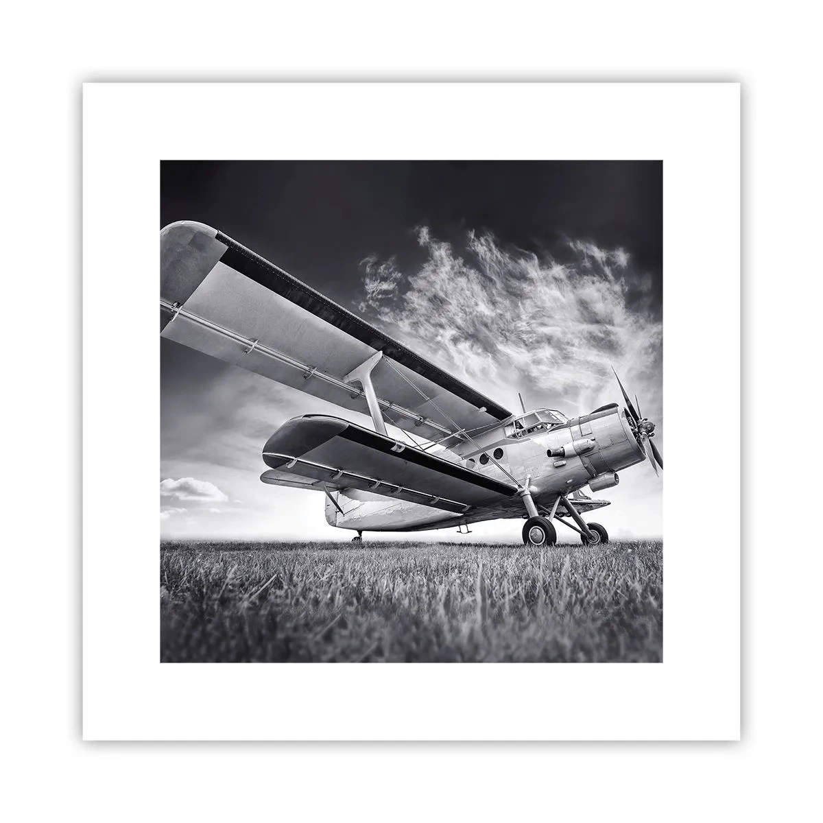 Poster - Rătăcitorul înaripat - 30x30 cm