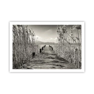 Poster - În intimitatea ierburilor - 91x61 cm