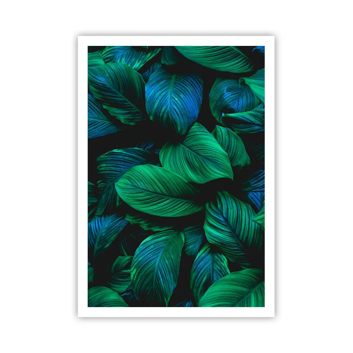 Poster - Traficul verde - 70x100 cm