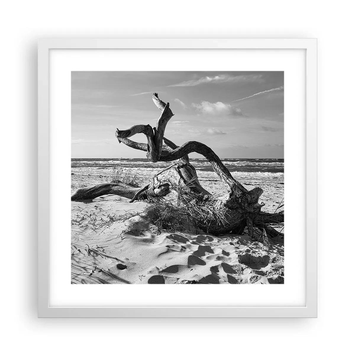 Poster în ramă albă - Sculptură marină - 40x40 cm