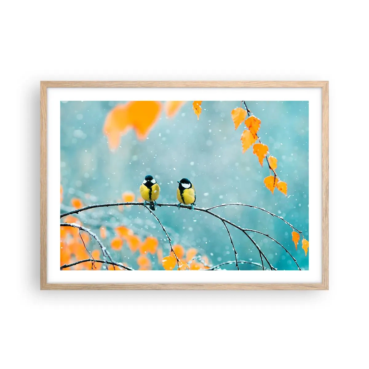 Poster în ramă de stejar deschis - Bârfele păsărilor - 70x50 cm