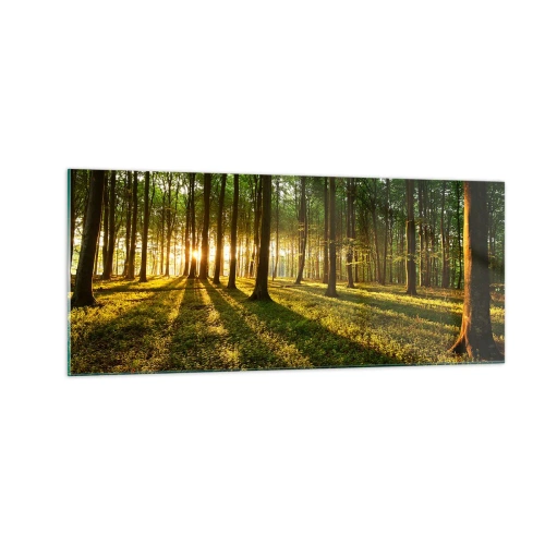 Tablou pe sticlă - Fotografia tuturor primăverilor - 100x40 cm