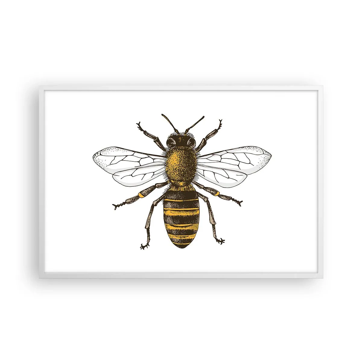 Poster în ramă albă - Frumoasă și bună - 91x61 cm