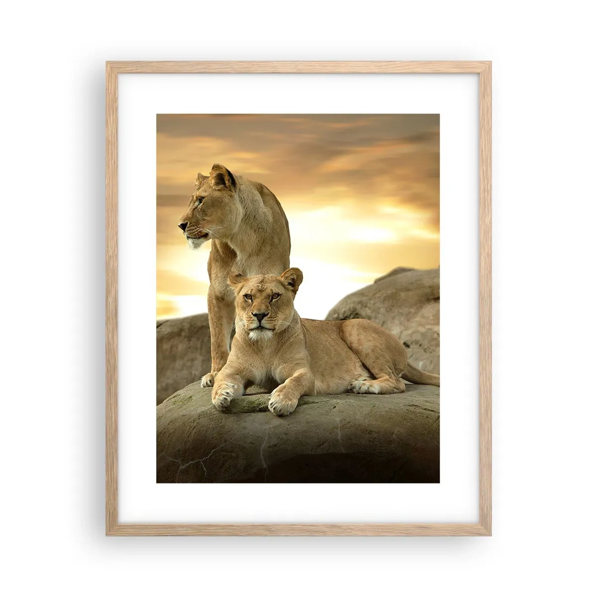 Poster în ramă de stejar deschis - Maiestate regală - 40x50 cm