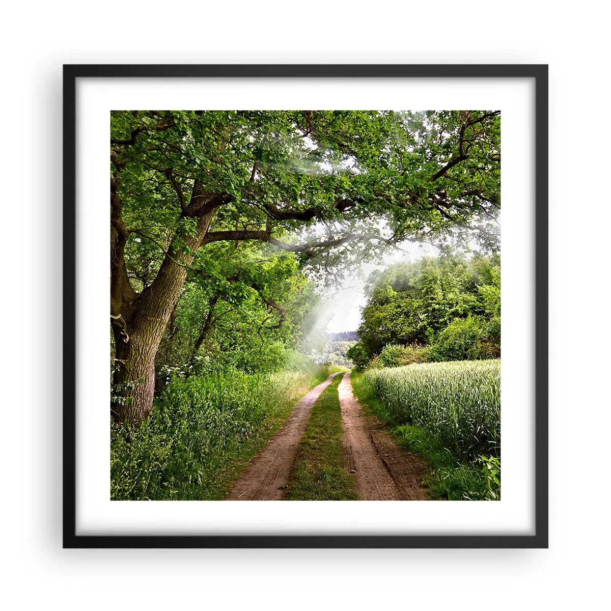 Poster în ramă neagră - Et in Arcadia ego - 50x50 cm