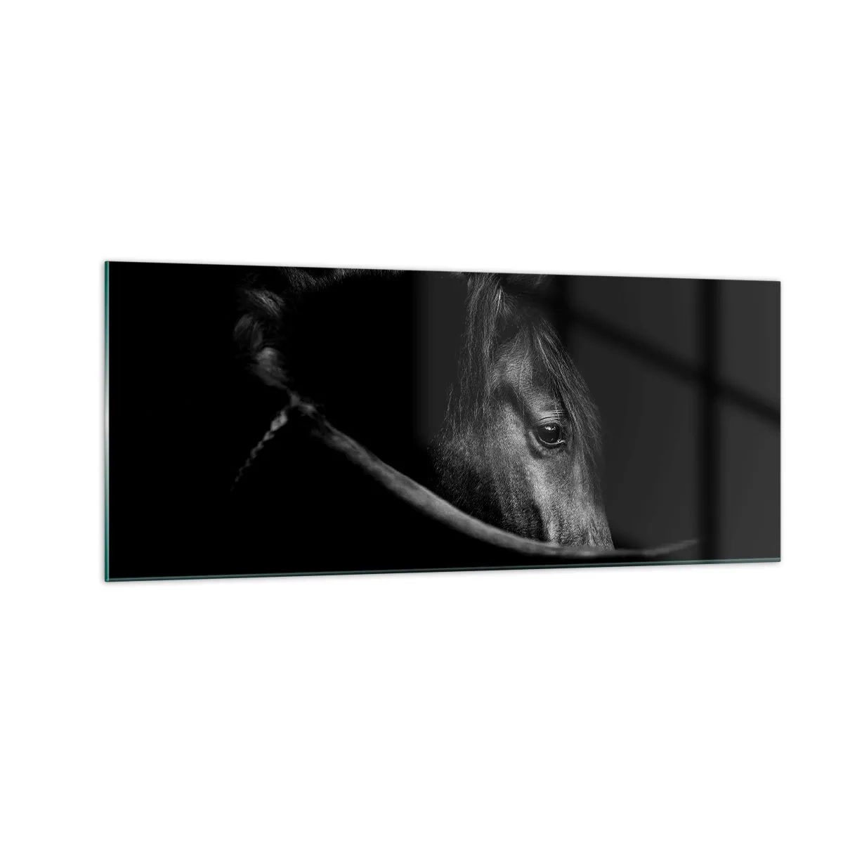 Tablou pe sticlă - Prințul negru - 100x40 cm