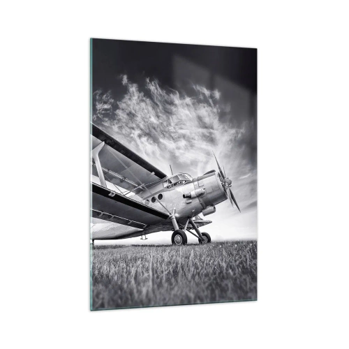 Tablou pe sticlă - Rătăcitorul înaripat - 70x100 cm