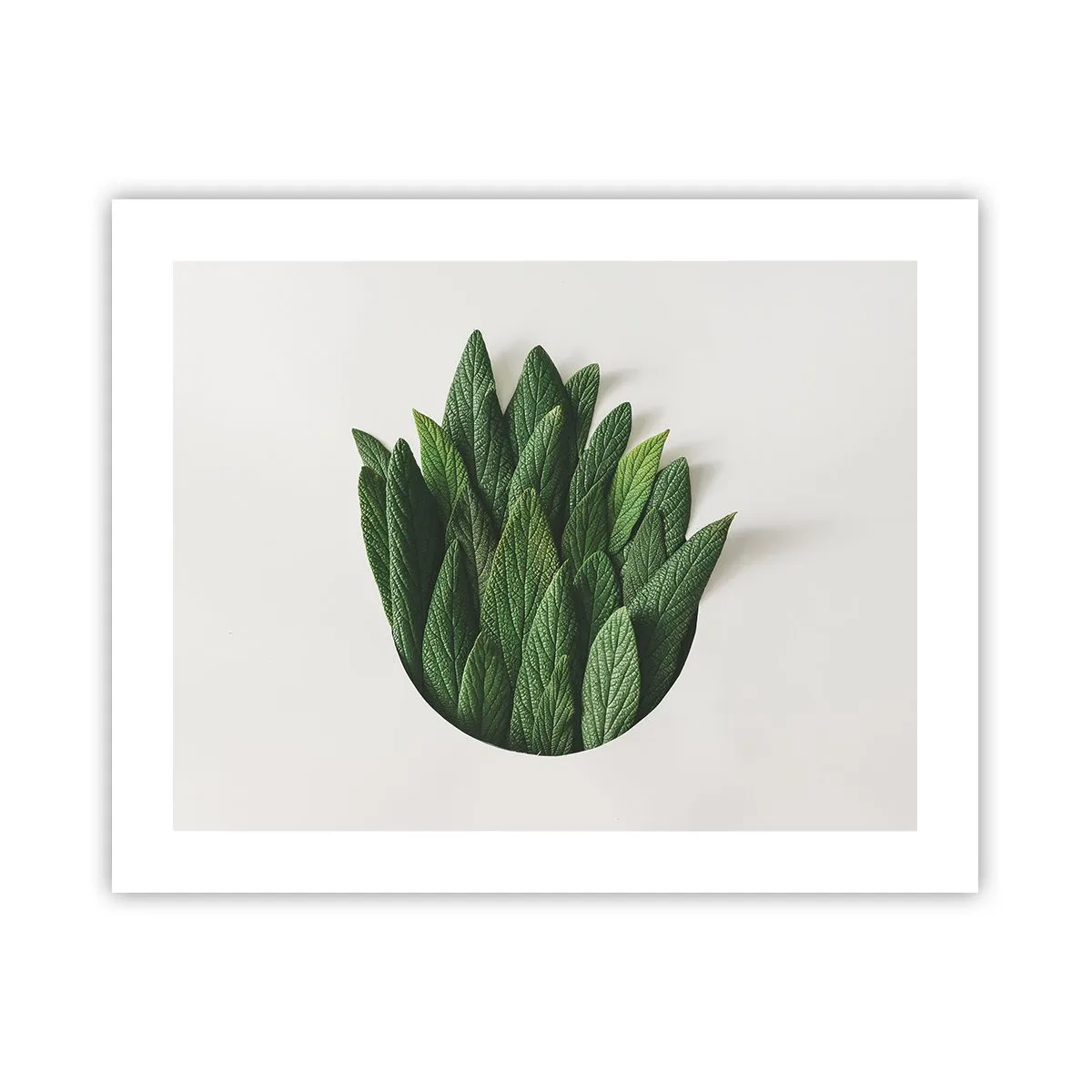 Poster - Curiozitatea nestăvilită - 50x40 cm