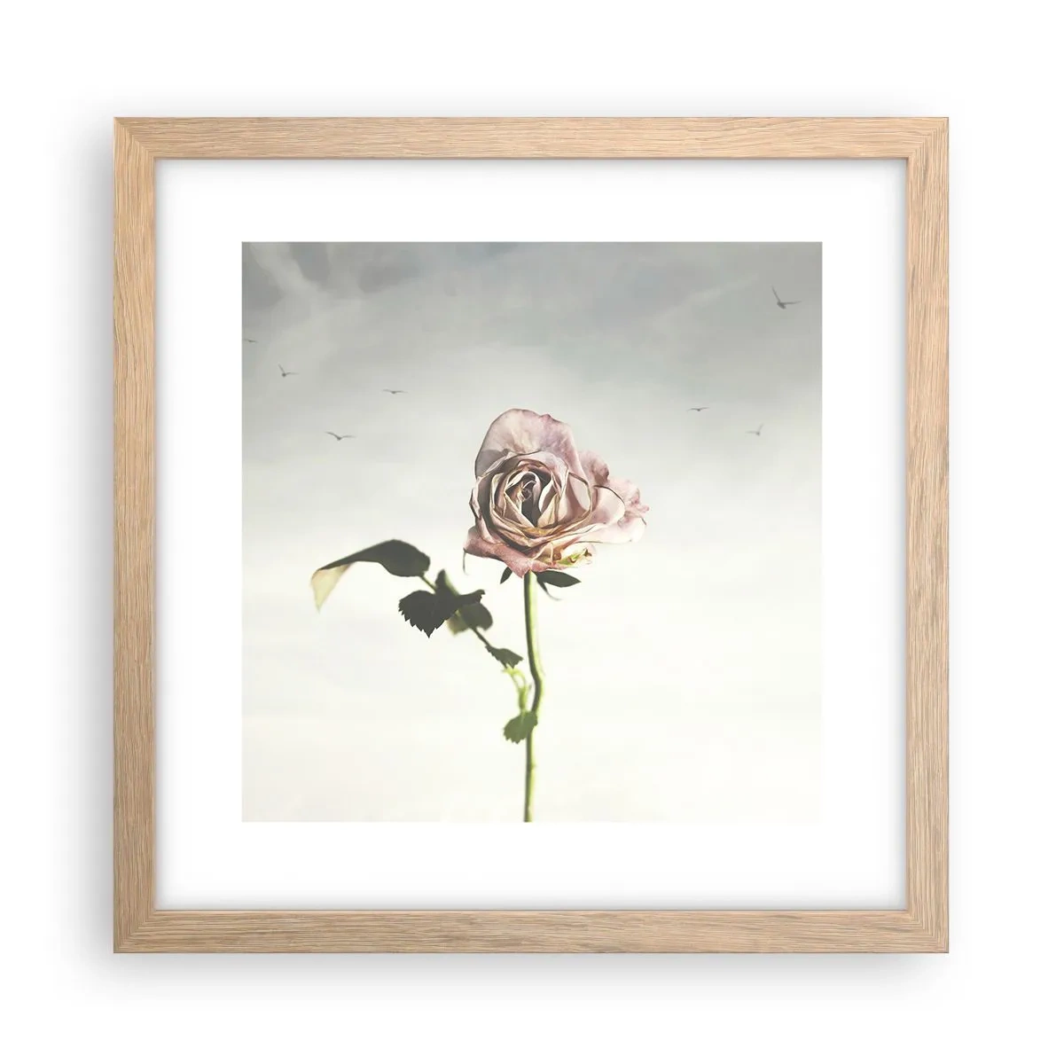 Poster în ramă de stejar deschis - Primăvara binevenită - 30x30 cm