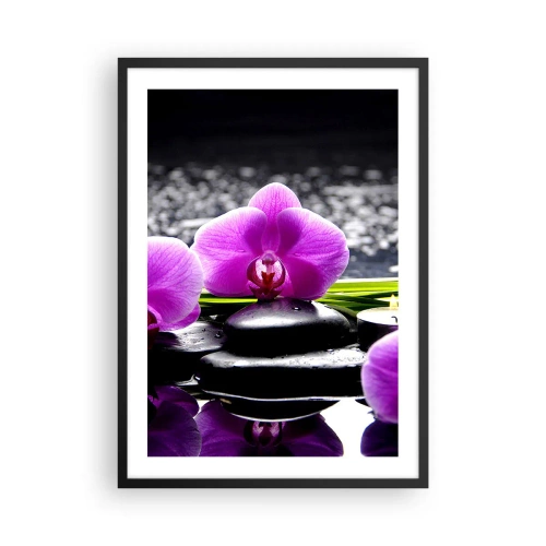Poster în ramă neagră - O orhidee violetă pe un fundal de pietre și apă într-un cadru de tip spa - 50x70cm - Să te scufunzi în pace și liniște - Decorațiune modernă pentru perete pentru living și dormitor ARTTOR