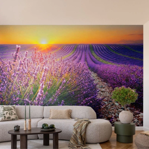 Tapet Premium Sand - Câmpul parfumat - Peisaj, Câmp de lavandă, Provence - 100x70 cm