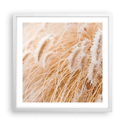 Poster în ramă albă - Foșnetul auriu al ierburilor - 50x50 cm