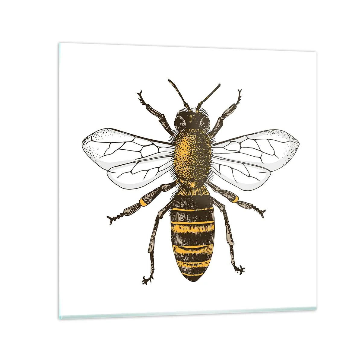 Tablou pe sticlă - Frumoasă și bună - 30x30 cm