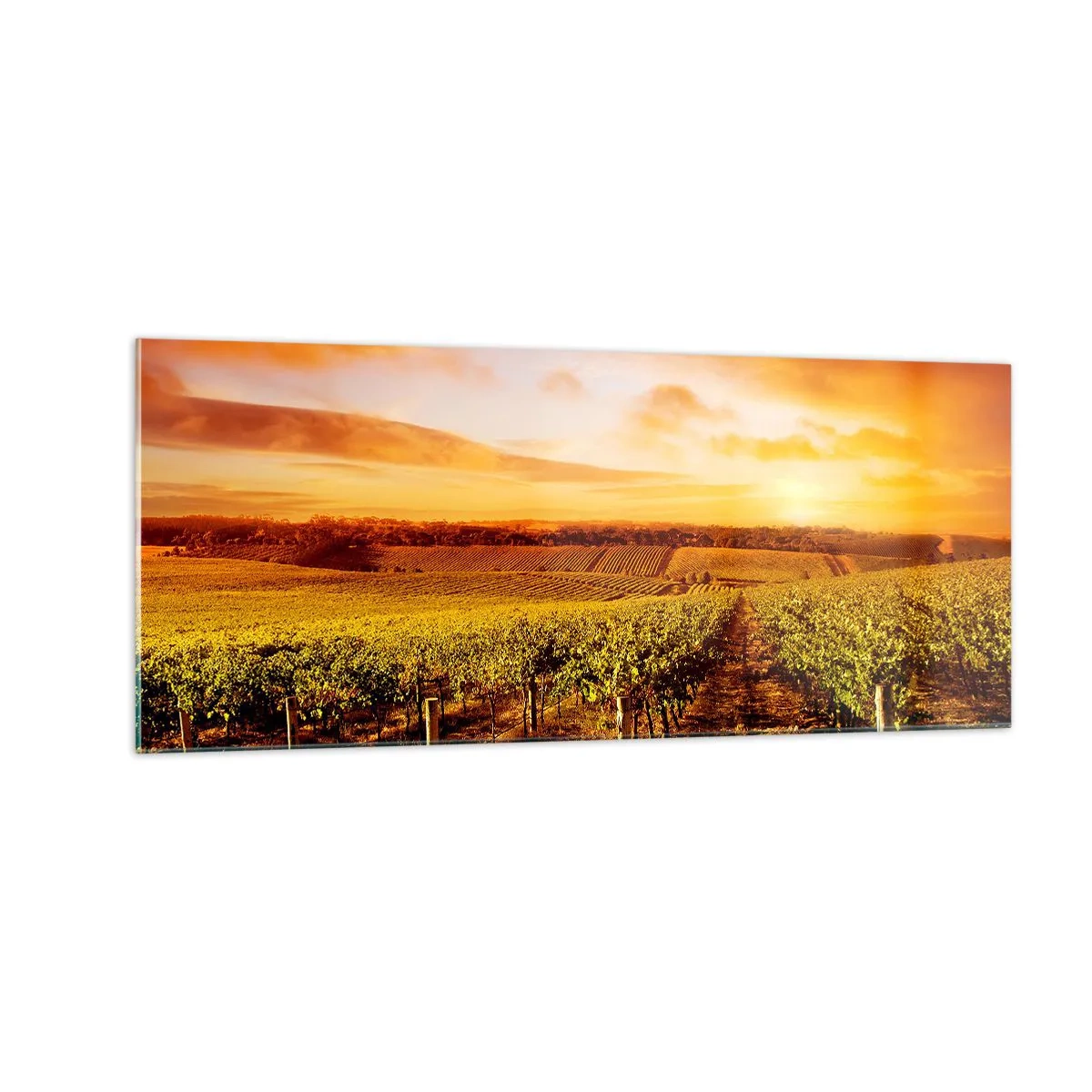 Tablou pe sticlă - Cu un iz de fructe, cu o notă de soare - 100x40 cm