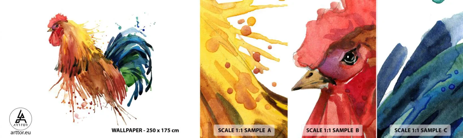 Mostră de Tapet Standard Eco - Haina regală, mândria regală - Cocoş, Grafică, Cresterea - 100x30 cm