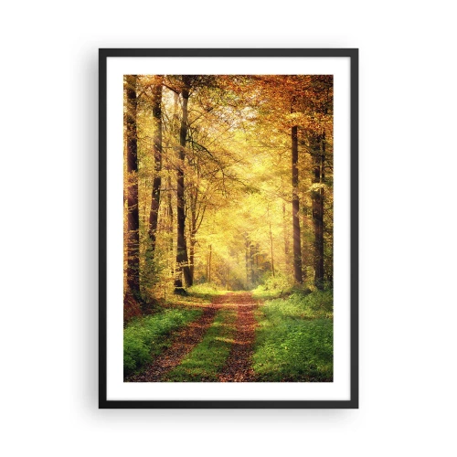 Poster în ramă neagră - O cărare prin pădure în lumina soarelui auriu de toamnă - 50x70cm - Tăcere de aur de pădure - Decorațiune modernă pentru perete pentru living și dormitor ARTTOR