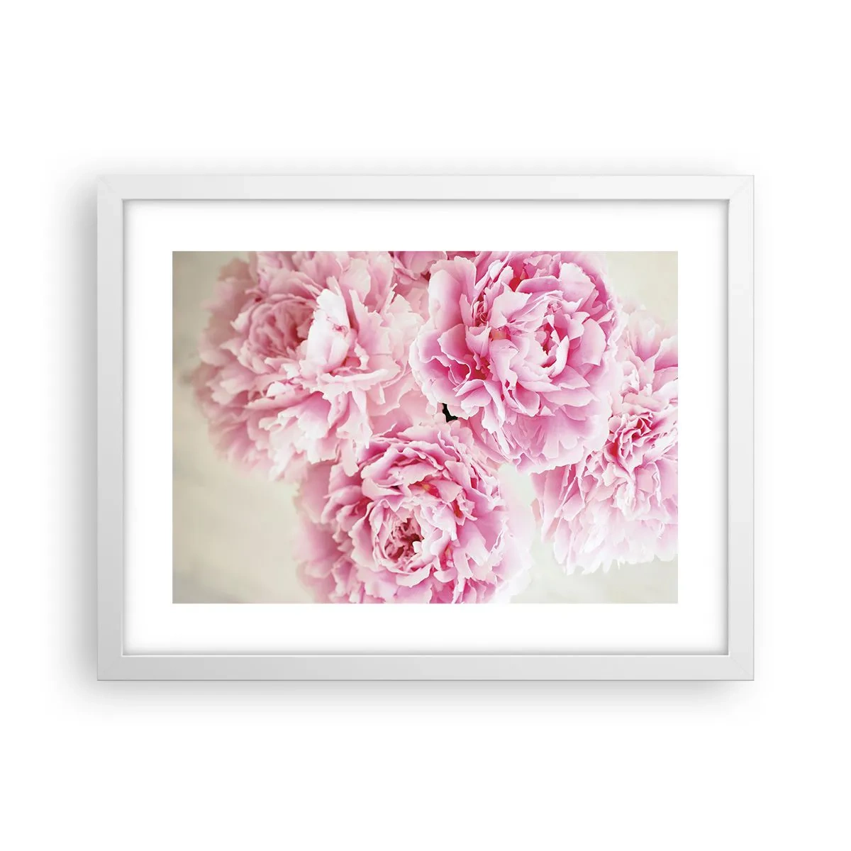 Poster în ramă albă - În luxul roz - 40x30 cm