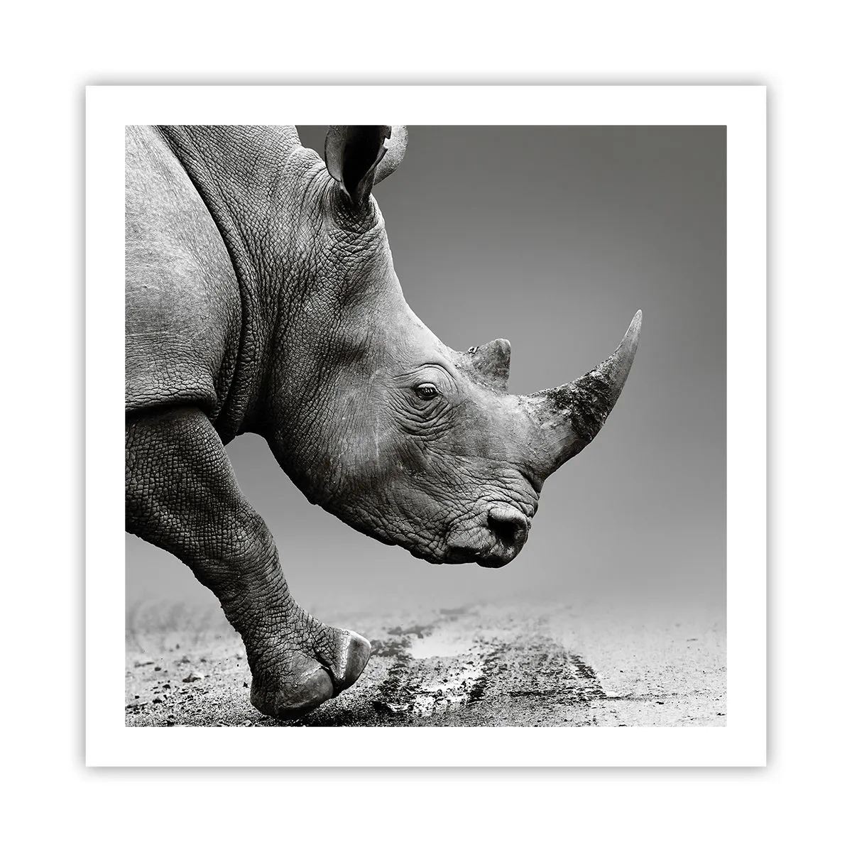 Poster - O forță de neoprit - 60x60 cm