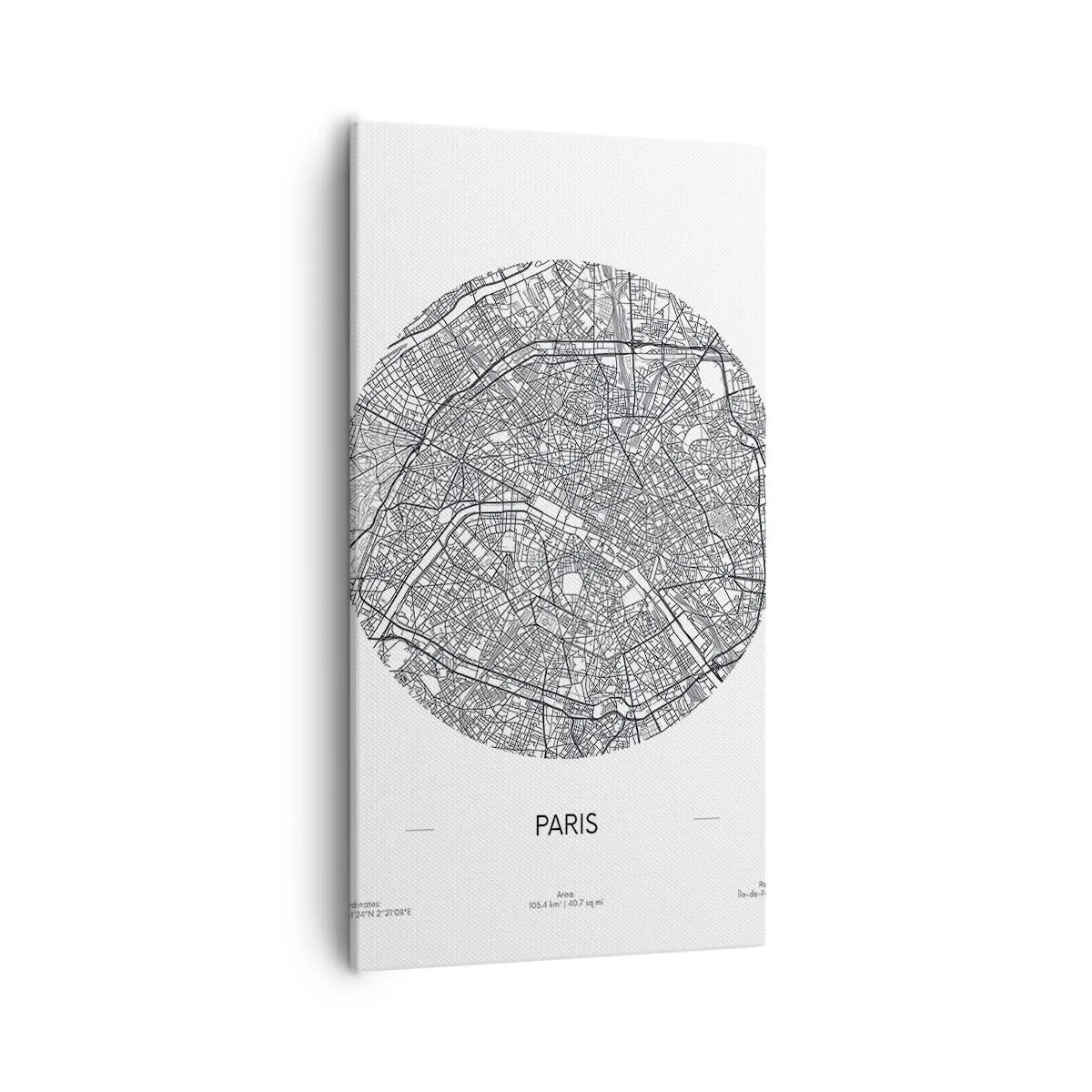 Tablou pe pânză - Anatomia Parisului - 55x100 cm