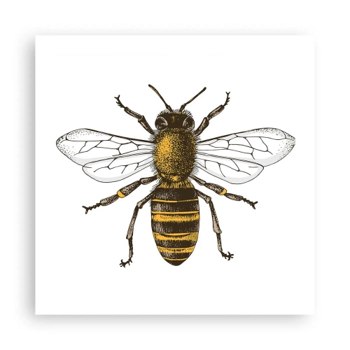 Poster - Frumoasă și bună - 50x50 cm