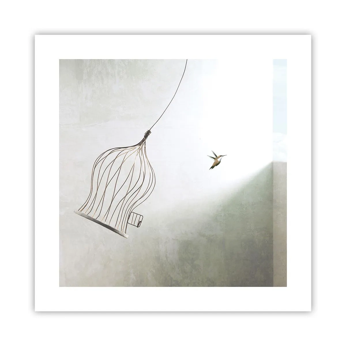Poster - Eliberat - 40x40 cm