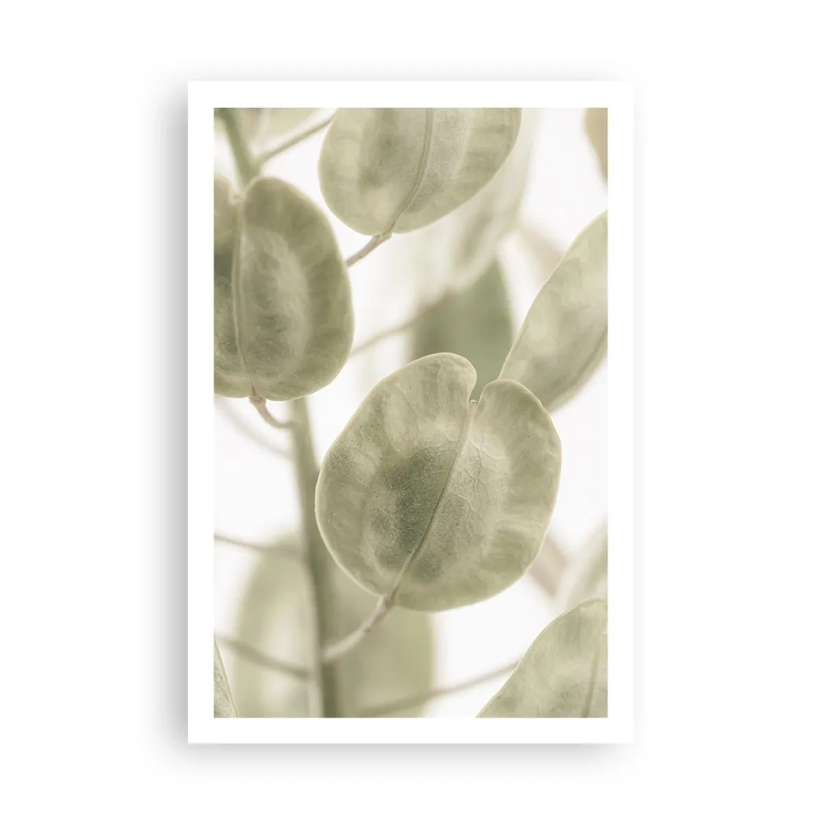 Poster - La început au fost frunzele... - 61x91 cm