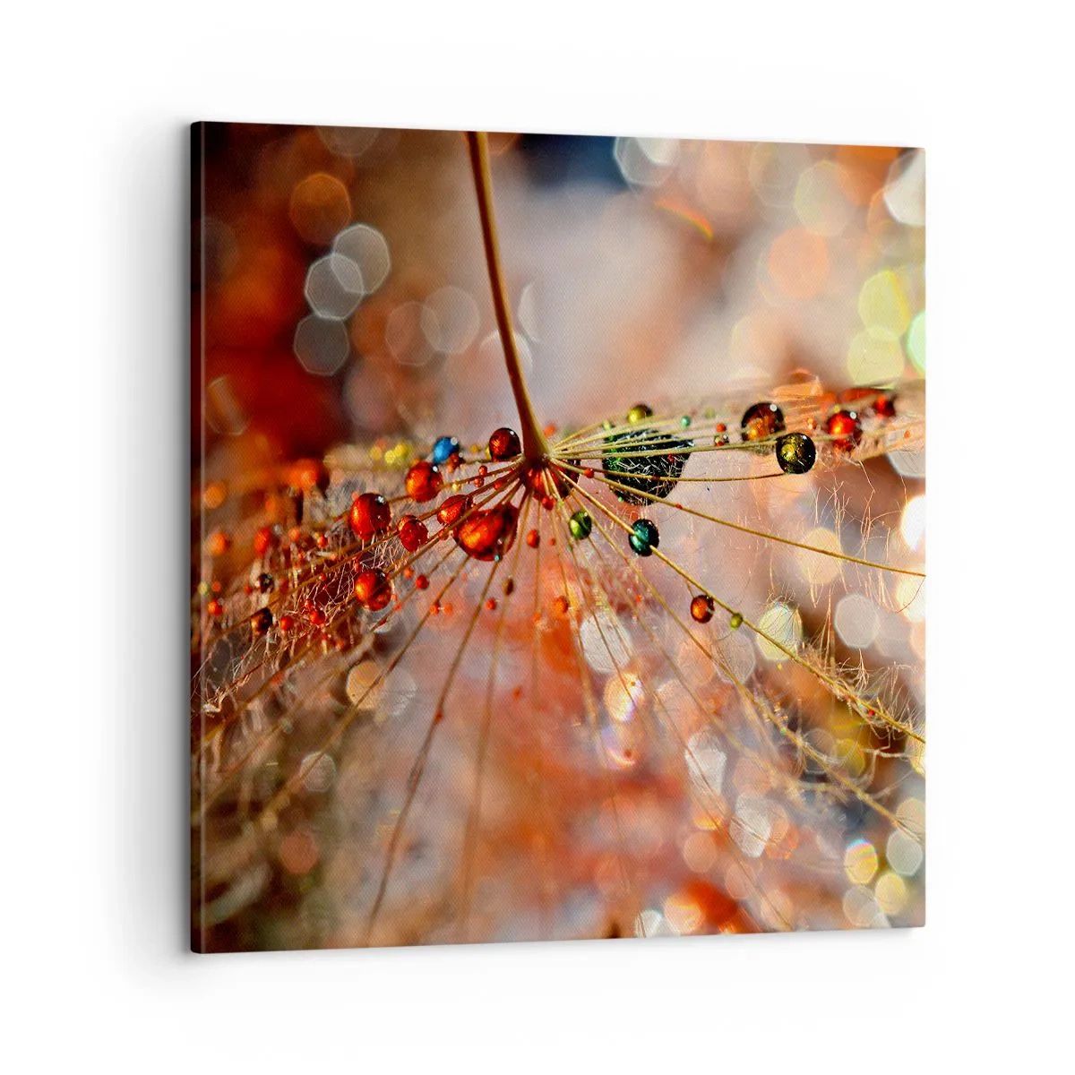 Tablou pe pânză - Înfipt pe pânza de păianjen - 60x60 cm