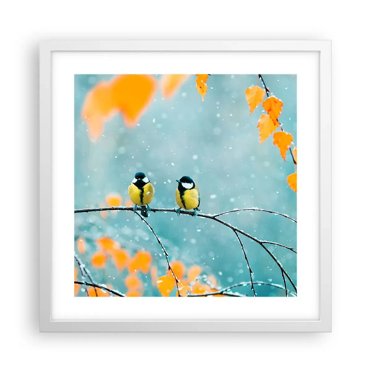 Poster în ramă albă - Bârfele păsărilor - 40x40 cm