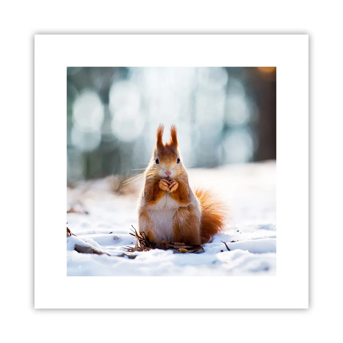 Poster - Și la ce te uiți? - 30x30 cm